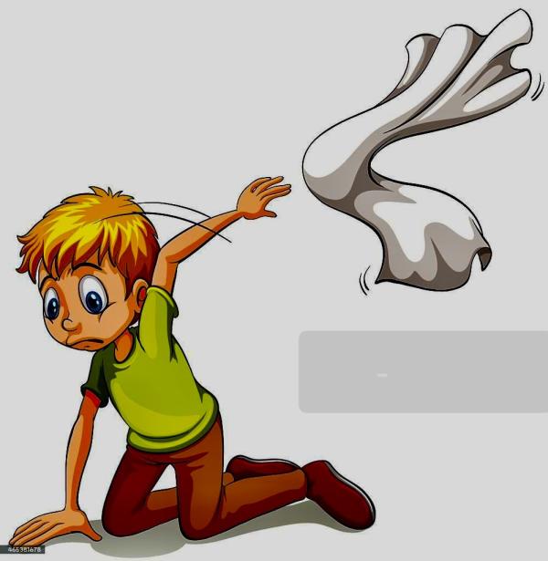 IMG_1849.jpeg IMG_1849.jpeg