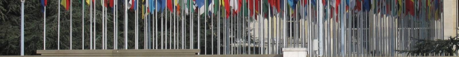United Nations flags