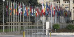 United Nations flags