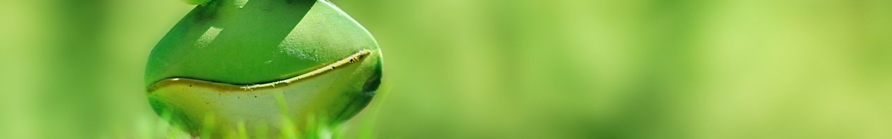 Green frog peering optimistically over a hill