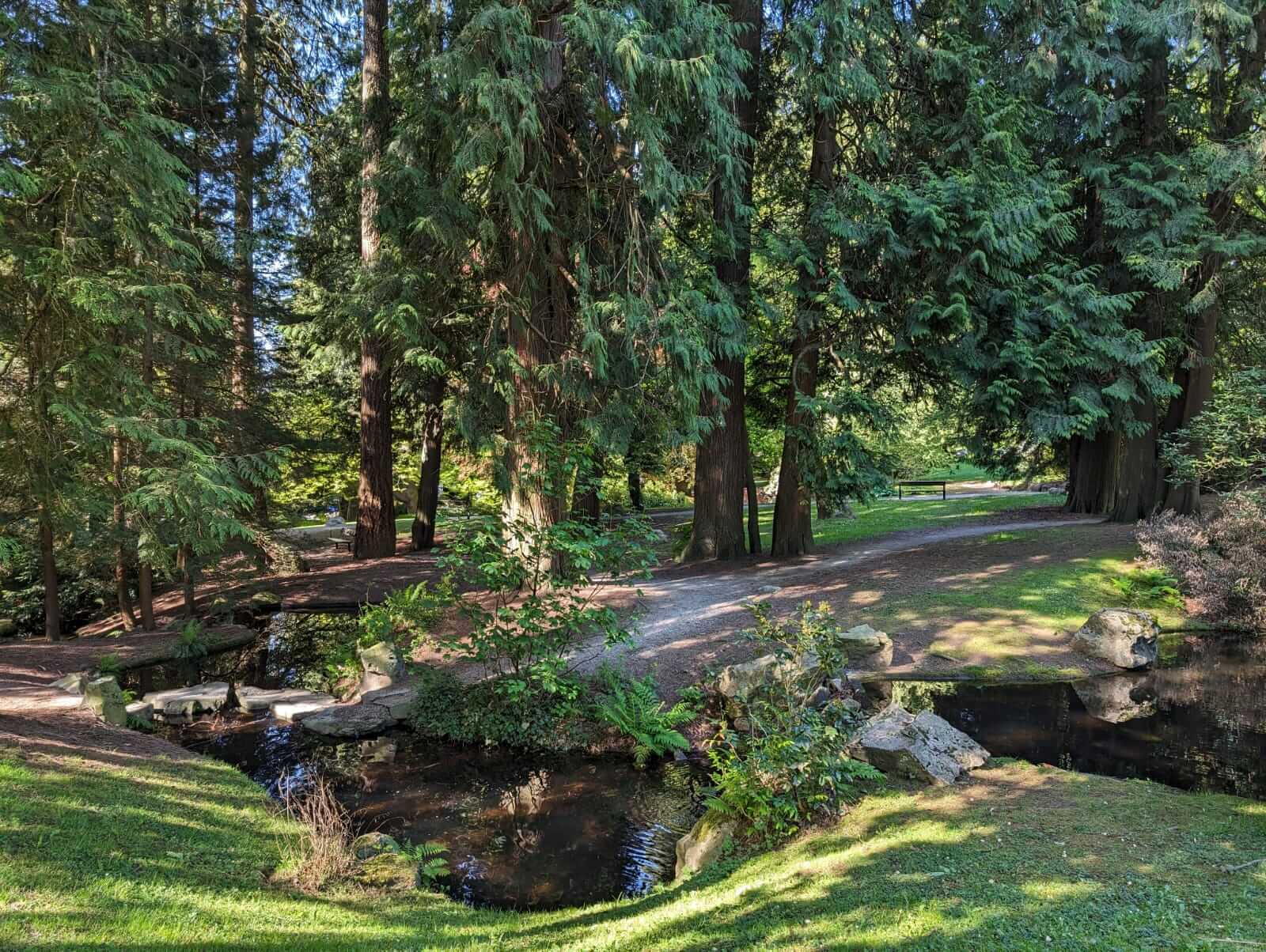 Savers Roundup May 2024 Competitive GIC rates from Tangerine; the “new