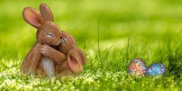 Hugging bunnies, because they're saving money